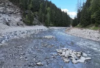 Instandsetzung Uferverbauung Lochi Fürgangen